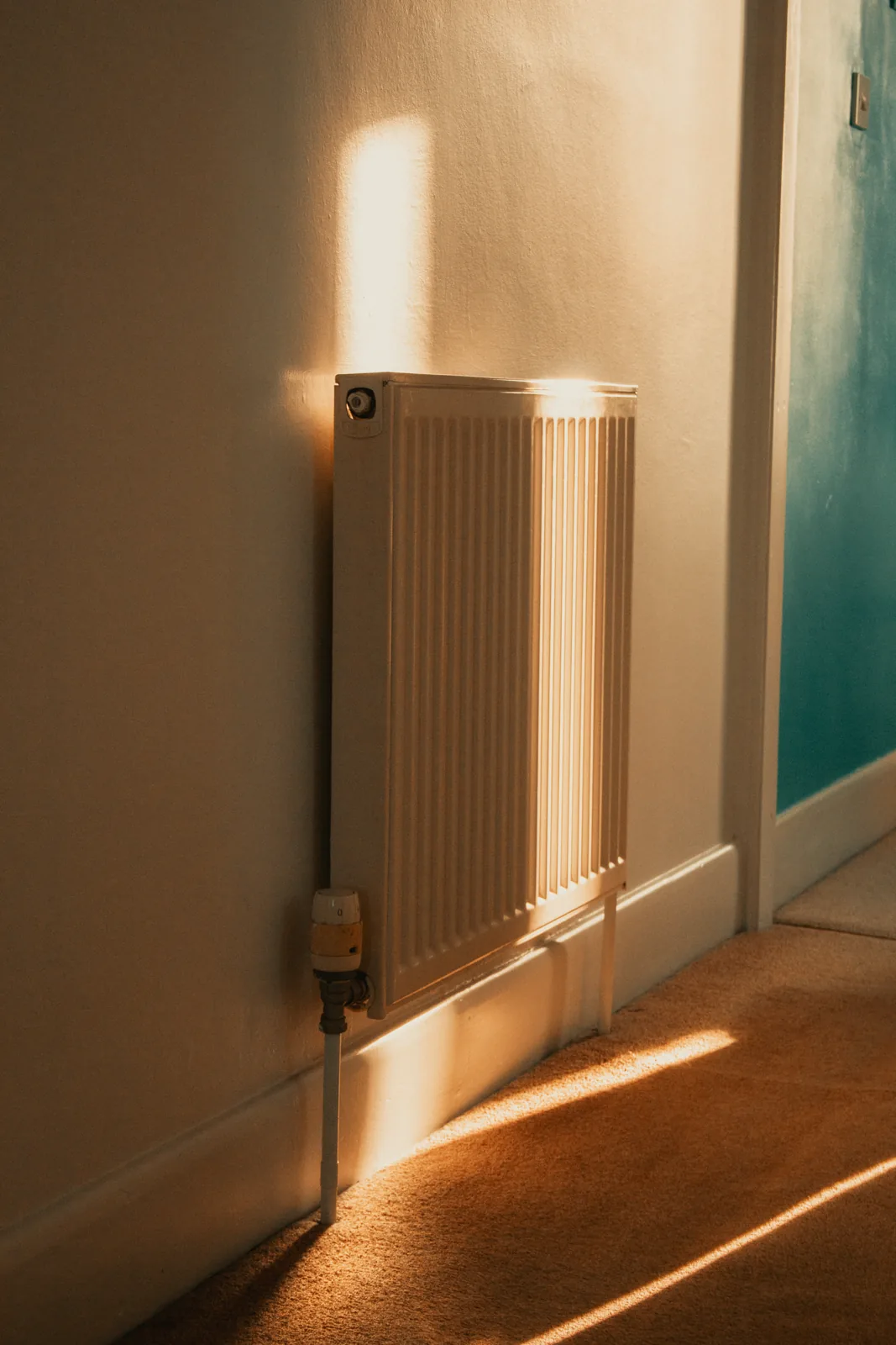 White panel radiator and valve in warm afternoon light